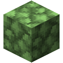 粗铍块 (Block of Raw Beryllium)