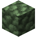 粗黄铜矿块 (Block of Raw Chalcopyrite)