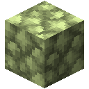 粗谢尔顿矿块 (Block of Raw Sheldonite)