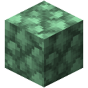 粗绿色蓝宝石块 (Block of Raw Green Sapphire)