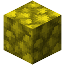 粗黄褐铁矿块 (Block of Raw Yellow Limonite)
