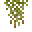 洞穴苔藓