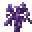 紫晶树苗