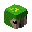 绿色鹦鹉的头 (Green Parrot Head)