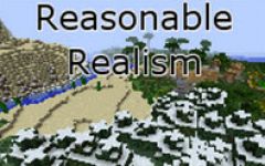 合理的现实主义 (Reasonable Realism)
