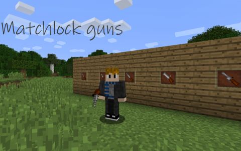 火绳枪 (Matchlock Guns)