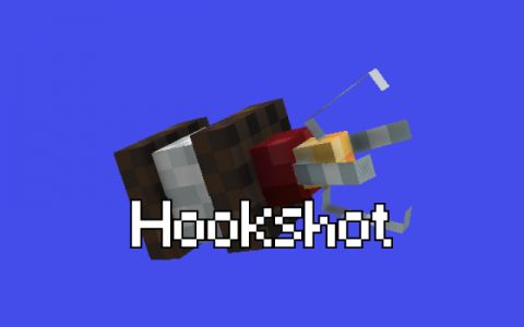 Hookshot