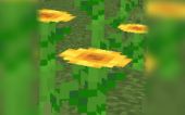 Moving Sunflowers