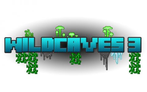 洞穴装饰 (WildCaves 3)