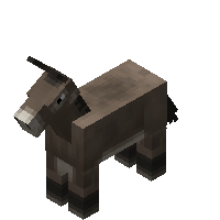 驴 (Donkey)