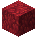 火珊瑚块 (Fire Coral Block)