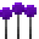 紫色玩具草 (Celevians)