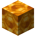 满多孔蜜脾块 (Filled Porous Honeycomb Block)