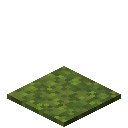 苔藓地毯 (Moss Carpet)