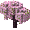 樱花树 (Cherry Blossom Tree)