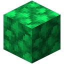 粗绿宝石块 (Block of Raw Emerald)