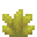金色多肉 (Aureate Succulent)