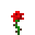 玫瑰 (Rose)