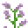 丁香 (Lilac)