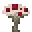 浆血蘑菇