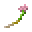 狸藻花 (Bladderwort Flower)