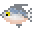 白鲳鱼