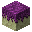 紫颂苔