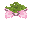 粉色孢子花 (Pink Spore Blossom)