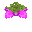 品红色孢子花 (Magenta Spore Blossom)