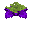 紫色孢子花 (Purple Spore Blossom)
