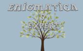 [E9E] Enigmatica 9: Expert